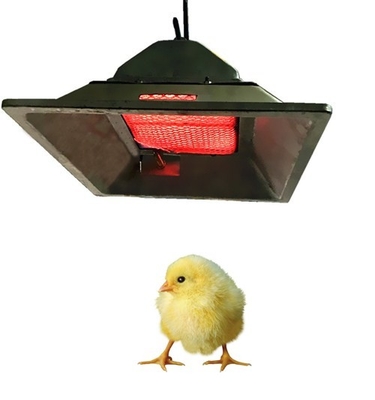 4 Μοντέλα Chicken Brooder Gas Heater LPG NG Biogas Gas Brooder In Poultry