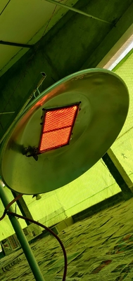 Εξοικονόμηση ενέργειας Poultry Brooder Heater LPG NG Biogas Gas Poultry Brooder Equipment