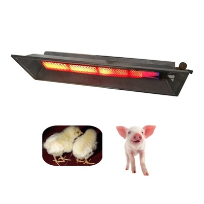 Smokeless Flameless Poultry Brooder Heater Chicks Pigs Gas Brooding in Poultry