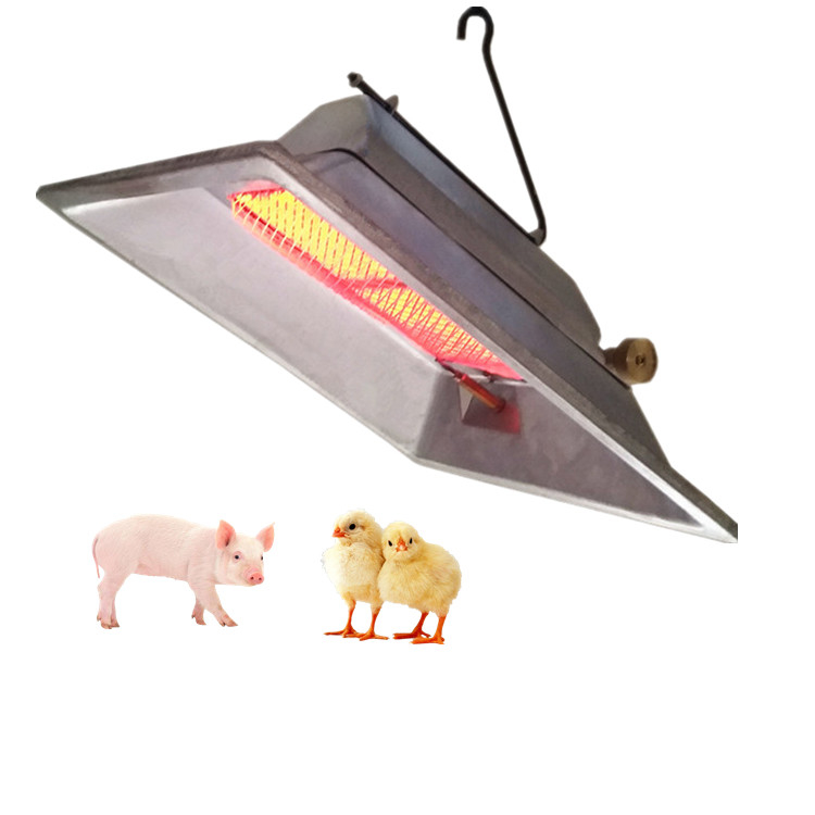Εξοικονόμηση ενέργειας Gas Brooder Heater High Efficiency 2,46 KW/h For Chicks Piglet